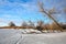 Winter landscape with cracks, snag