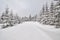 Winter landscape with cross-country ski trail