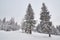 Winter landscape with cross-country ski trail