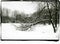 Winter landscape with a curved tree covered with snow