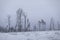 Winter landscape. Deforestation in winter. Field in snow.. Remaining trees