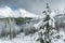 Winter landscape at Dunraven Pass, Yellowstone NP