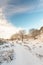 Winter landscape in Dutch national park Veluwe
