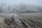 Winter landscape of an edge of the field, various frozen wild growing plants visible, naked frozen broadleaf trees in background.