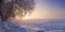 Winter landscape in the evening at sunset. Snow, frost in january. Winter nature background. Trees in sunlight