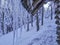 Winter landscape, Fagaras mountains