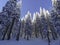 Winter landscape, Fagaras mountains