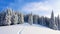 Winter landscape with fair trees under the snow. Scenery for the tourists. Christmas holidays.