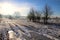 Winter landscape in February sun and a lake in the background