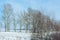 Winter landscape with field, trees and blue sky. long horizontal composition