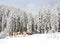 Winter landscape in the fir forest in snow small wooden houses