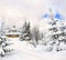 Winter landscape with of fir tree forest and church in snow with path. Christmas landscape