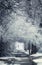 Winter landscape, first snow on tree branches. Blurred image