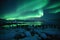 Winter landscape - a flock of penguins and the southern lights, Aurora Australis