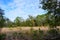 The winter landscape of Florida Trail