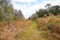 The winter landscape of Florida Trail