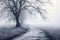 Winter landscape with fog, trees and road in misty forest.