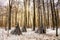 Winter landscape in the forest.A beautiful view.Snow is falling.White Christmas in Bucharest