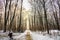 Winter landscape in the forest.A beautiful view.Snow is falling.White Christmas in Bucharest