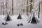 Winter landscape in the forest.A beautiful view.Snow is falling.White Christmas in Bucharest