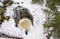Winter landscape in the forest, drone. Glacial potholes in Askol, Finland. Women in the forest.