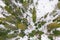 Winter landscape in forest, drone. Glacial potholes in Askola, Finland.