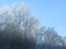 Winter landscape from forest on the hill