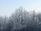 Winter landscape from forest on the hill