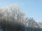 Winter landscape from forest on the hill