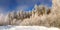 Winter landscape in the forest with the trees in frost, Russia, the Urals,