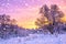 Winter landscape with forest, trees and sunrise