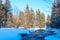 Winter landscape of a forested snowy area with tall fir trees and a flowing unfrozen river.