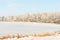 Winter Landscape With Fresh Snow Covered Trees