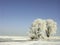 winter landscape, frost covered trees