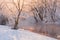 Winter landscape with frost covered trees on the river bank with