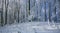 Winter landscape with frost and snow covered trees and nature of Carpathian mountains near Bratislava,Slovakia