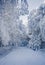 Winter landscape with frost and snow covered trees and nature of Carpathian mountains near Bratislava,Slovakia