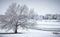 Winter Landscape with frosty tree in neighborhood park