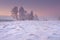 Winter landscape with frosty trees. Christmas background. Winter nature at dawn. Morning sunrise in snowy countryside.