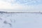 Winter landscape with frozen grass, snowy field and bare trees under cloudy blue sky