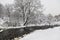 Winter landscape with a frozen river, floating ducks and snow-covered trees