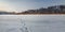 winter landscape. frozen river, lake under snow with reeds and bare trees in clear weather