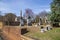 A winter landscape in the graveyard with headstones, graves, bare winter trees, lush green trees, plants and flowers