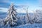 Winter landscape on the GroÃŸer Feldberg / Germany