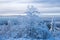 Winter landscape on the GroÃŸer Feldberg / Germany