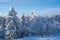 Winter landscape on the GroÃŸer Feldberg / Germany