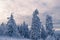 Winter landscape on the GroÃŸer Feldberg / Germany