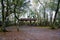 The winter landscape of Hillsborough river and Lettuce park