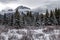 Winter landscape of Hillsdale Meadow, Bow Valley Parkway in the
