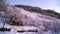 Winter landscape on the hillside trees.